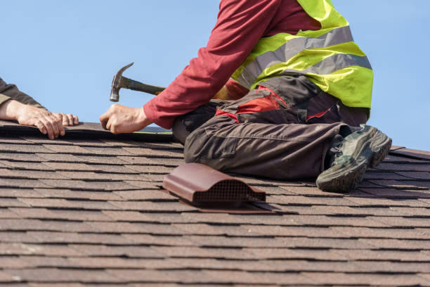 Roof Waterproofing Services in Carrollton, AL