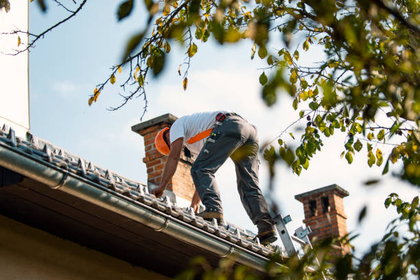 Roof Gutter Cleaning in Carrollton, AL
