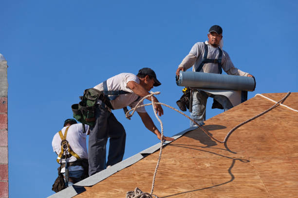 Roof Gutter Cleaning in Carrollton, AL